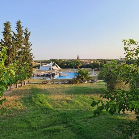 Janis Seaview Villa Néa Fókaia Exterior foto